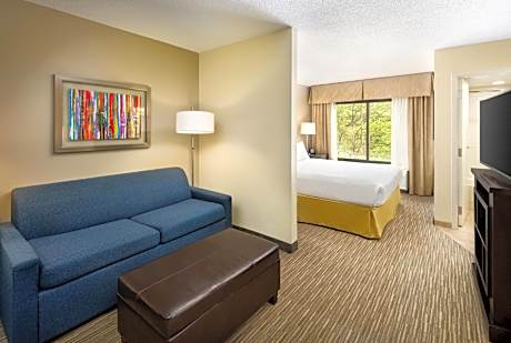 Standard King Room with Sofa Bed