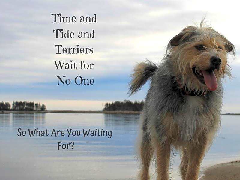 Seawind Landing Country Inn