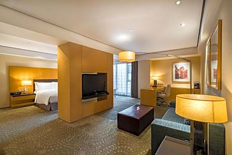 1 King Junior Suite Audio Visual