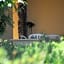Eoliano B&B