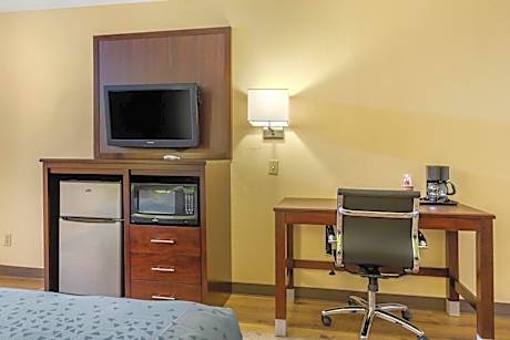 King Room - Non-Smoking