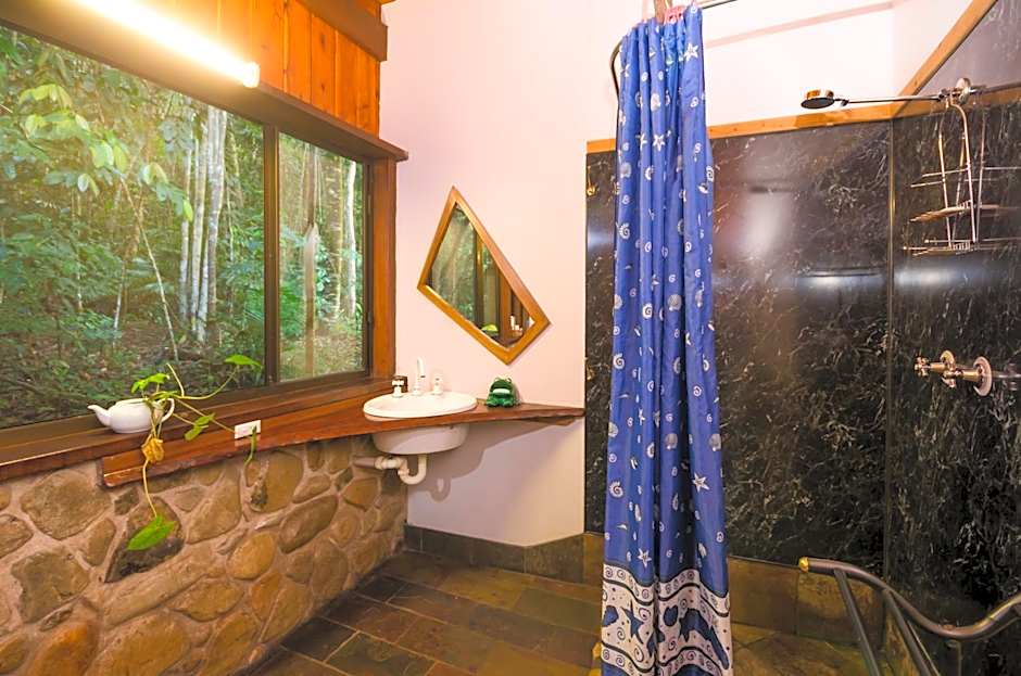 Epiphyte B & B