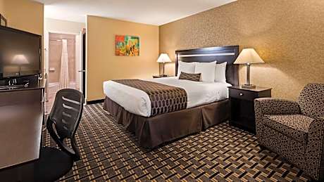 King Room - Pet-Friendly