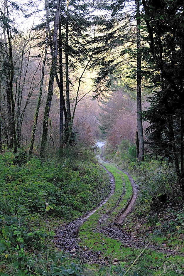 Le clos des artistes - Chambres d'hôtes