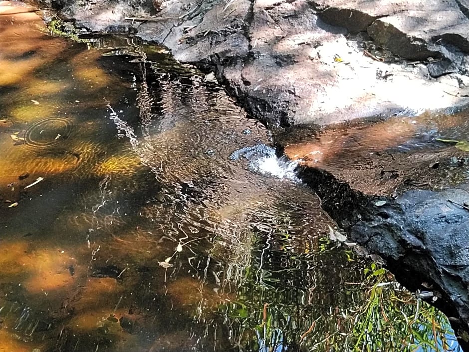 Café com Arte Pousada Ecológica