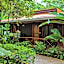 Pachira Lodge