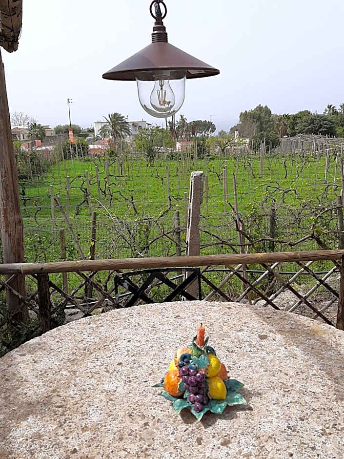 Il Vitigno di Dioniso