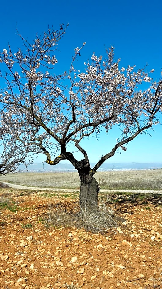 Chalet Trolio bed & breakfast