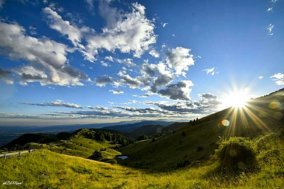 Wine Hotel San Giacomo Activity & Wellness