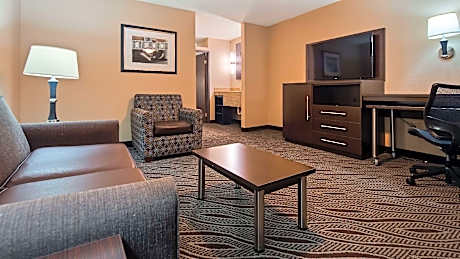 Suite-1 King Bed, Non-Smoking, High Speed Internet Access, Sofabed, Separate Living Area, Microwave 