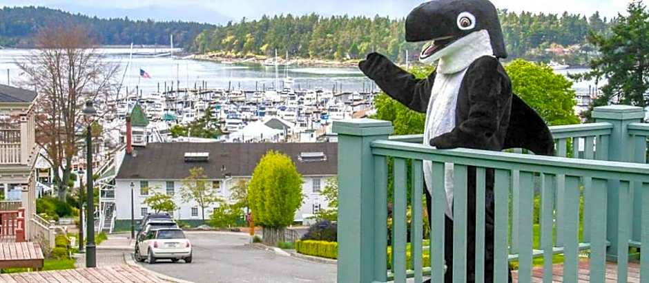 The Orca Inn