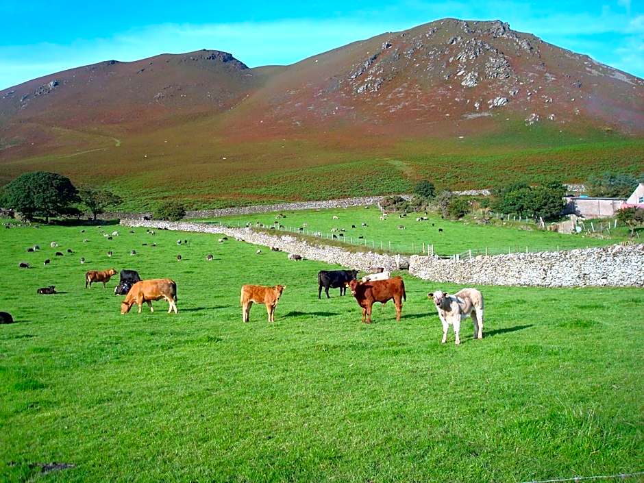 The Wayside and Whisky Barn