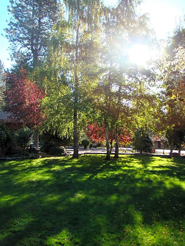 Ponderosa Gardens Motel