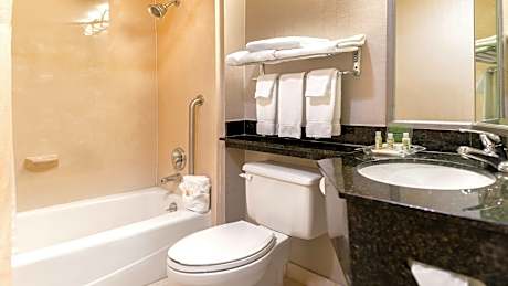 1 King Bed Suite With Jacuzzi