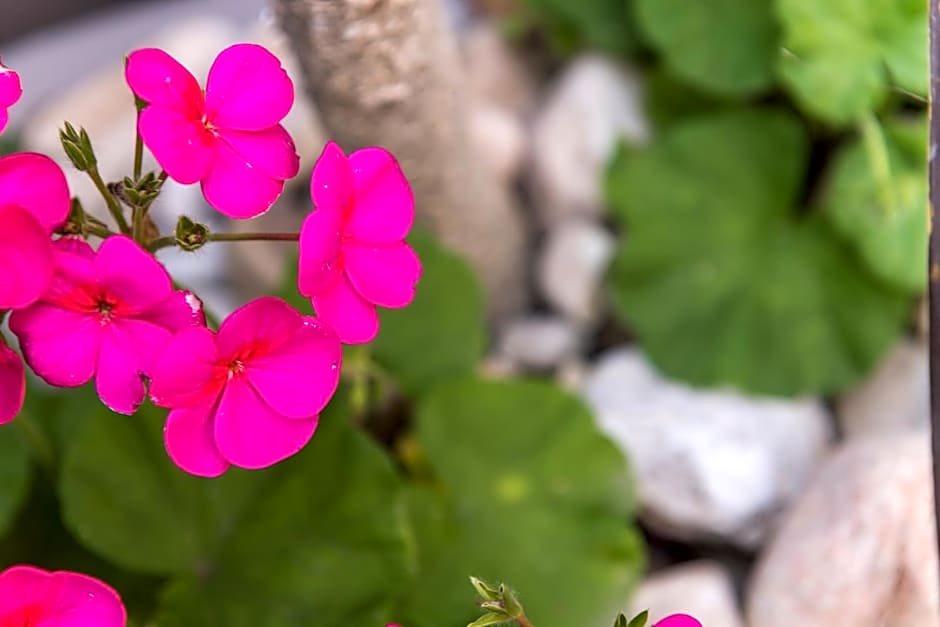 Kingfisher GuestHouse