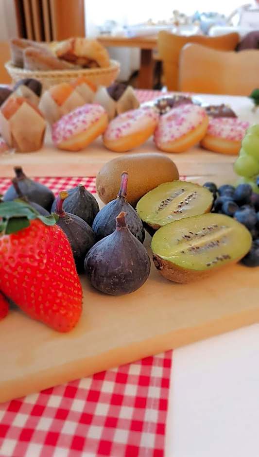 Alpina Boutique Hotel Interlaken - Ringgenberg - Adults only !