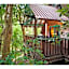 The Mouses House Rainforest Retreat