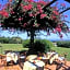 Hotel Stelle Marine
