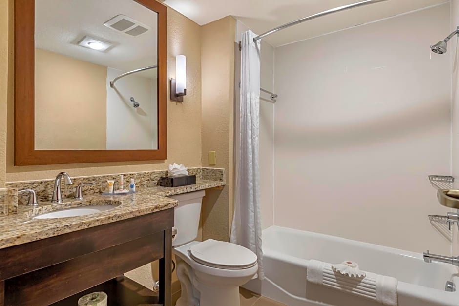 Comfort Inn & Suites Allen Park - Dearborn