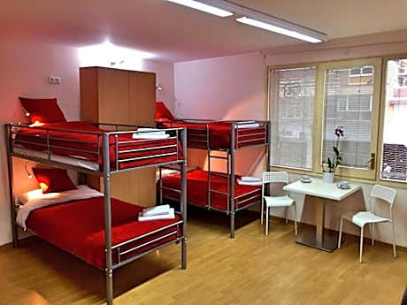 Bunk Bed in Mixed Dormitory Room