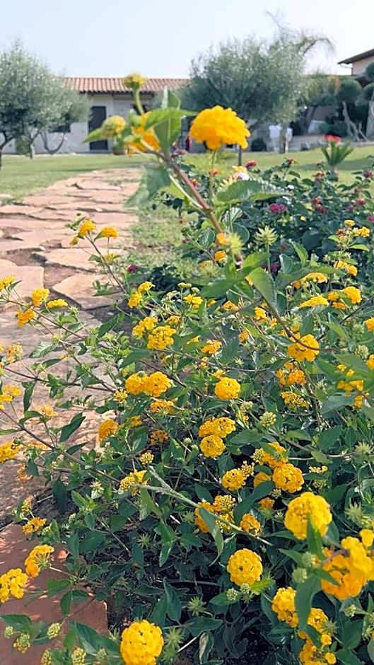 B&B Casale Pietrantica Tropea