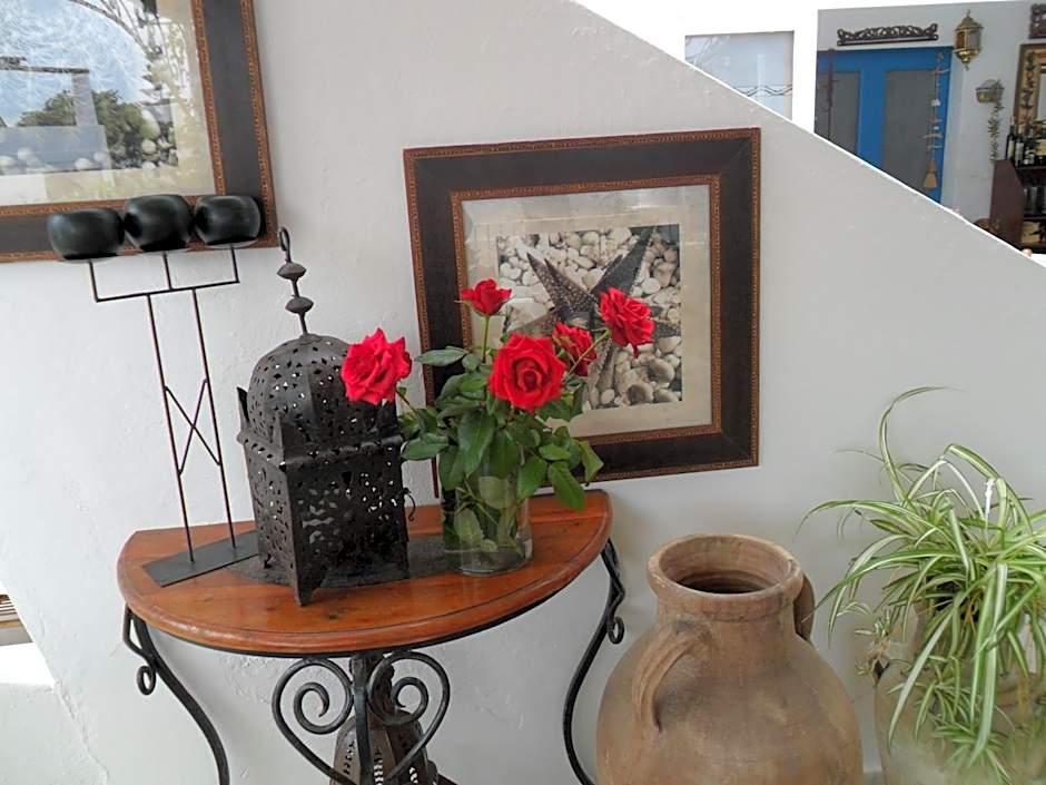 Hotel O Palmo