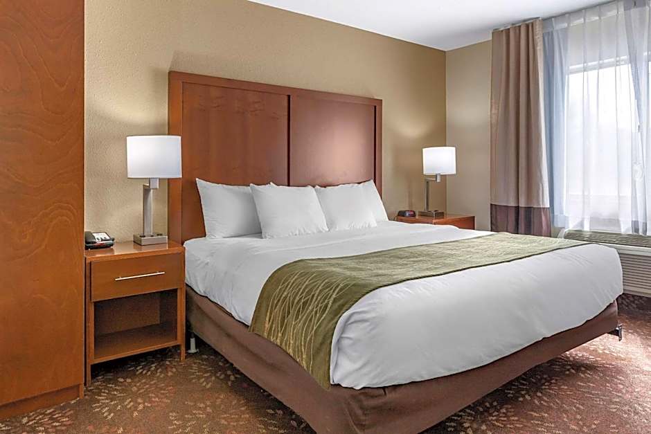 Comfort Inn Okemos