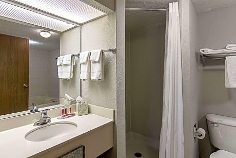 1 King Bed, Nonsmoking