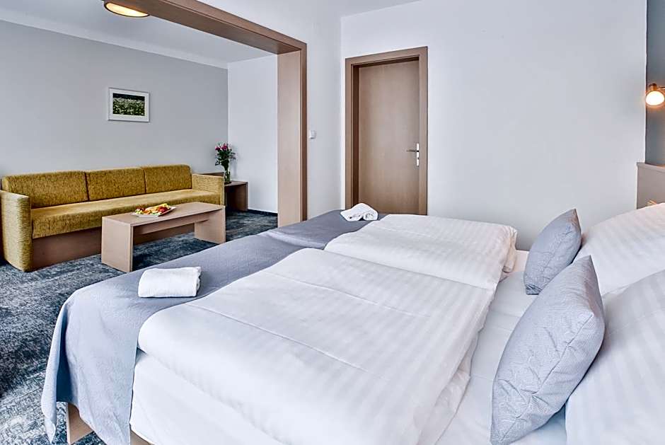 LH Parkhotel Hluboka Nad Vltavou Congress & Wellness