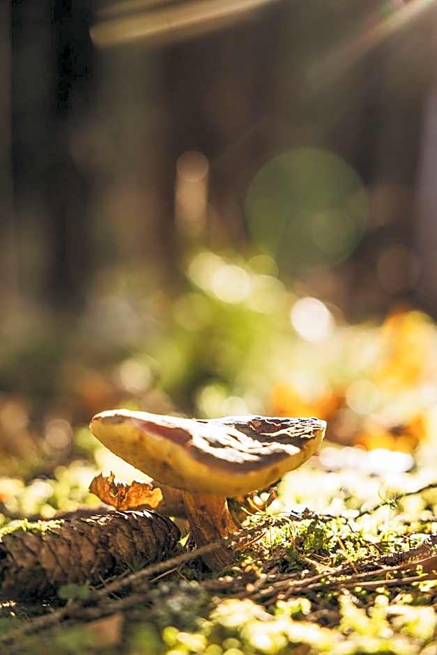 DAS ERZ Medical Spa & Hotel