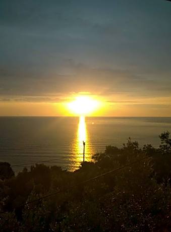 Ovrios  Triple  Studio