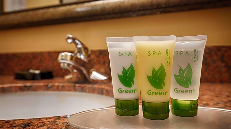 Best Western Plus Manvel Inn & Suites