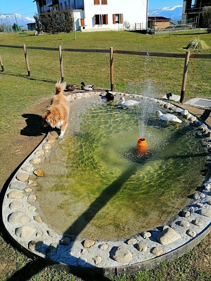 B&B La casa di Loretta