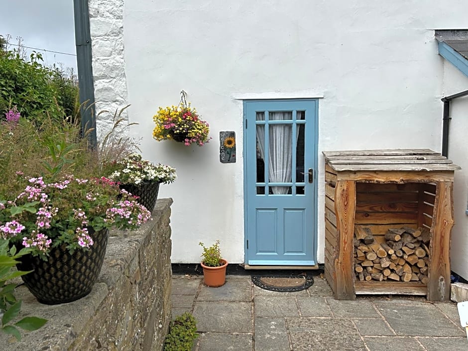 Y Felin Bed and Breakfast and Smallholding