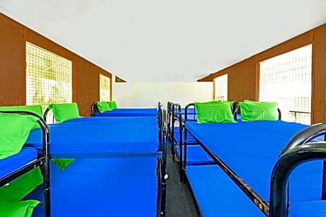 Bed in Male Dormitory Room