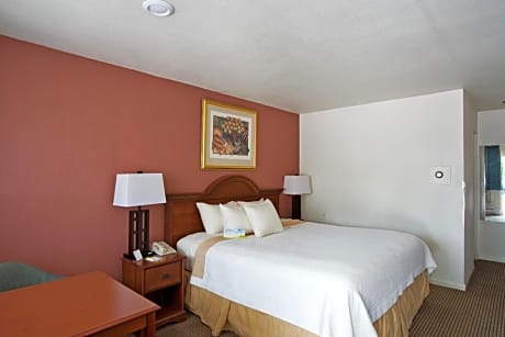 King Room- Non-Smoking