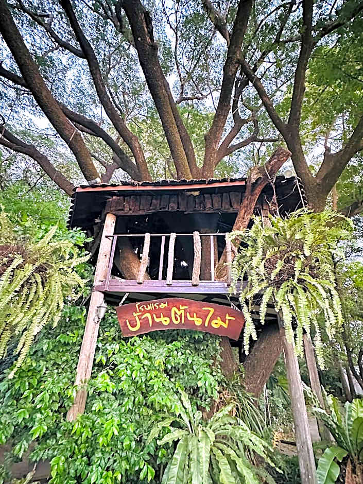 Tree House Hotel