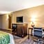 Comfort Inn Lansing West