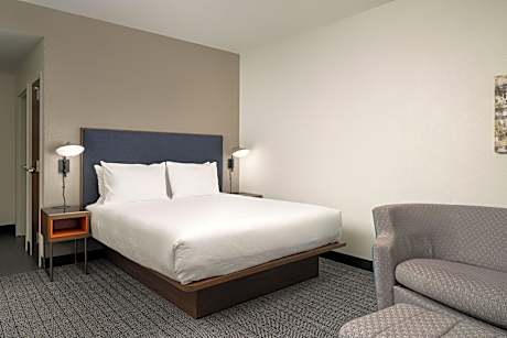 Room, 1 King Bed with Sofa bed (1 King Bed and 1 Double Sofa Bed)