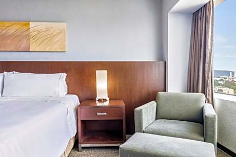 Standard Room, 1 King