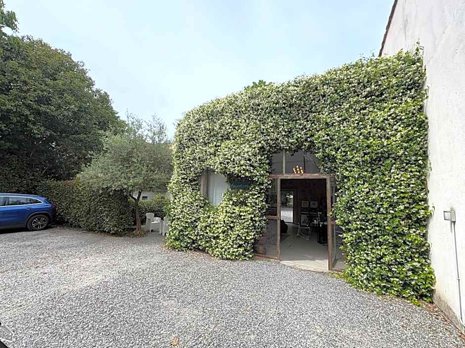 Lucca In Villa Elisa & Gentucca