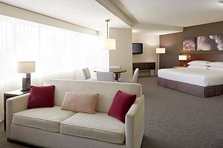 Junior King Suite with Sofa Bed