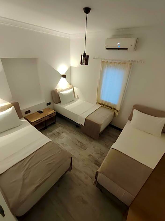 The Professor's Hotel