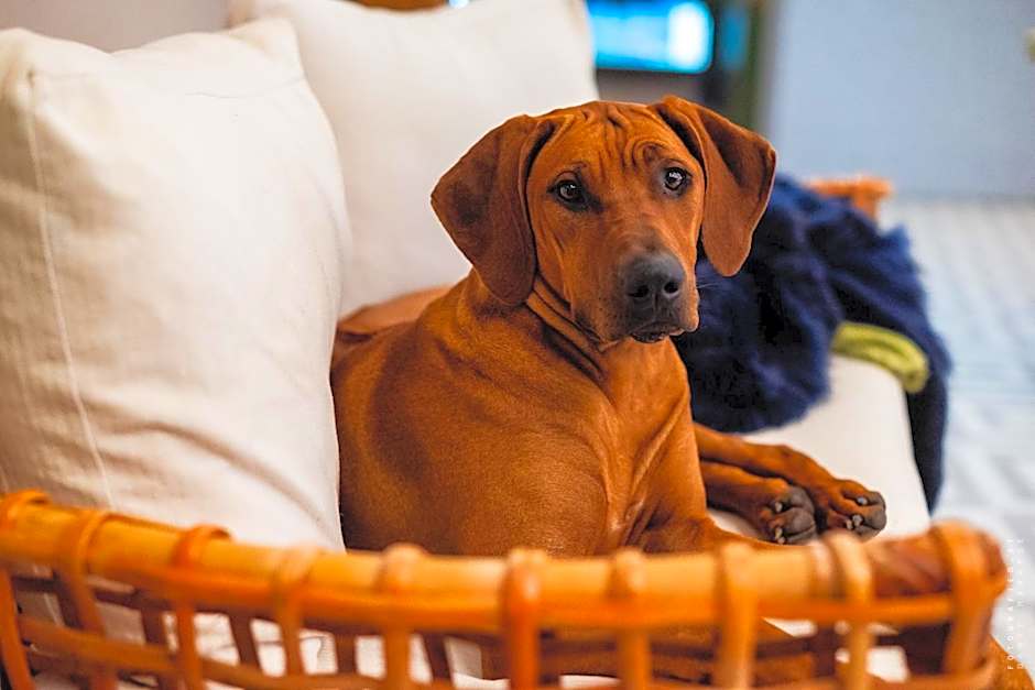 Agriturismo La Galizia