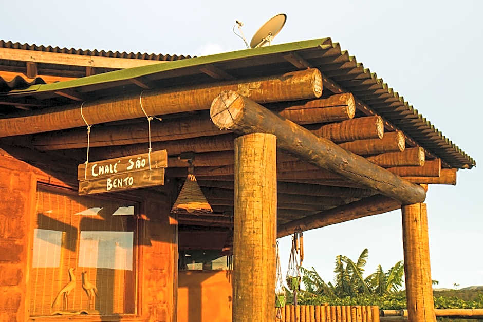 Raizando Ecologia Humana