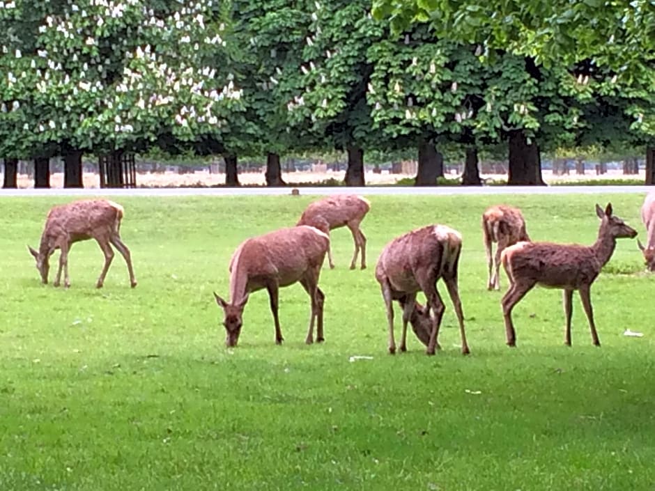 Old Station Gardens, SW London
