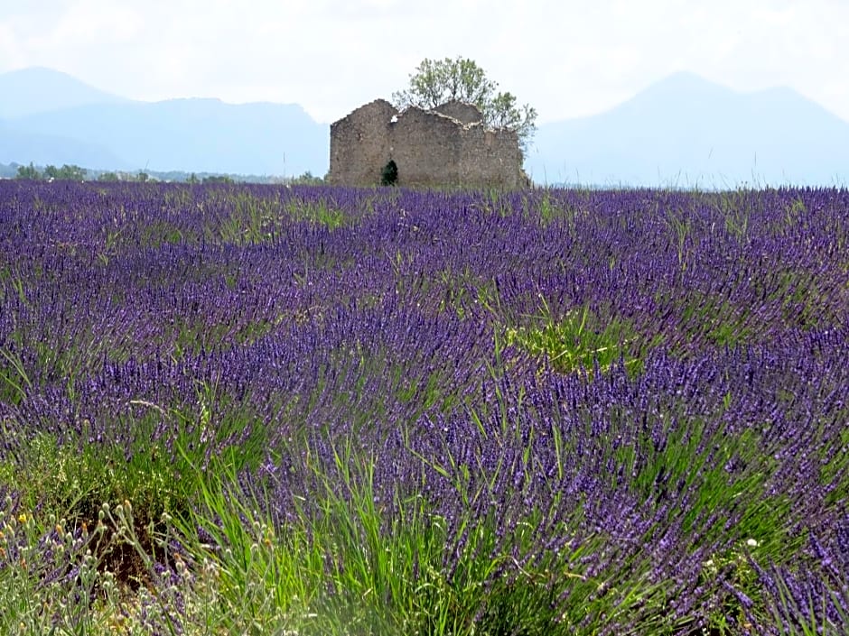 L Olivadou B&B