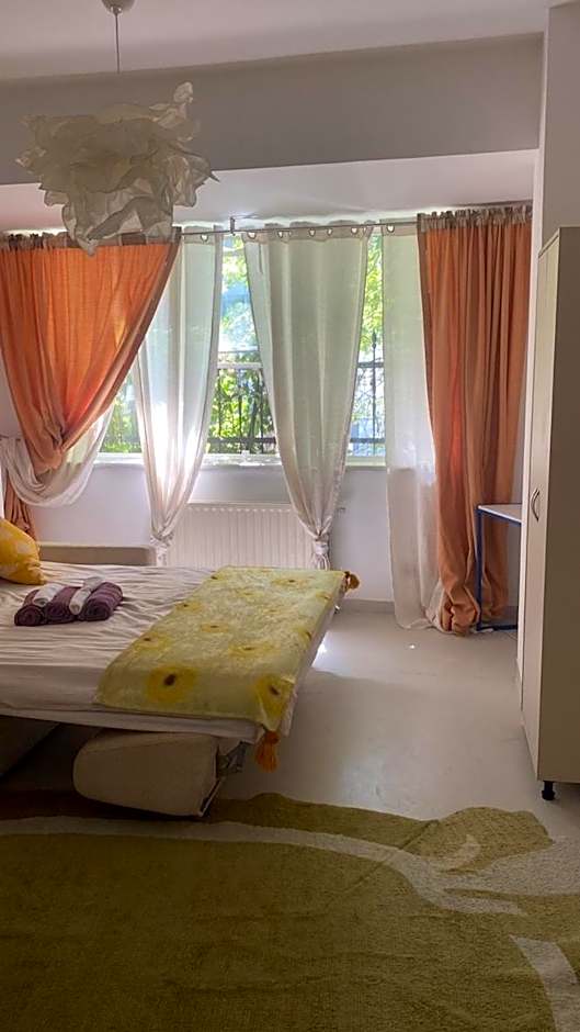 Luxuria Central Villa Bucharest