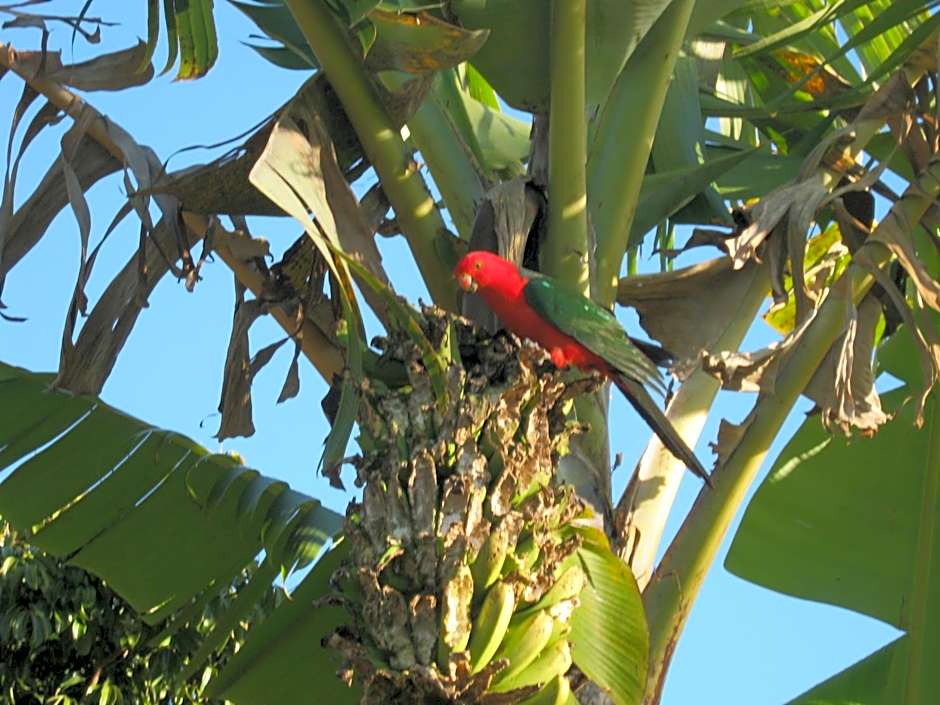 Sacred Mountain Retreat