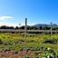 Westfield Fiji Homestay